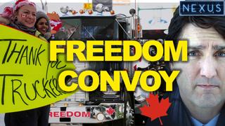 Truckers v Trudeau - REAL story of Canada's Freedom Convoy