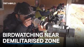 Birdwatchers flock near Korean DMZ
