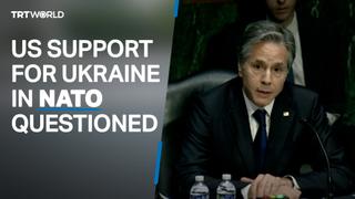 Heated exchange at US Senate over support for Ukraine to join NATO