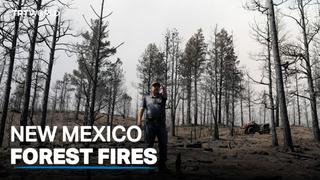 More than 300 homes destroyed in New Mexico forest fires