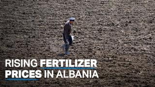 Albanian farmers turn to coffee grounds as fertilizer prices rise