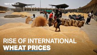 International wheat prices increase after India export ban