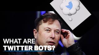 Why is Elon Musk's takeover of Twitter on hold?
