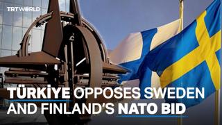 The reason Türkiye opposes Sweden and Finland’s NATO bid