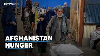 UN warns over 1M children in Afghanistan will likely face severe malnutrition