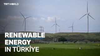 Türkiye’s renewable energy triples in past decade
