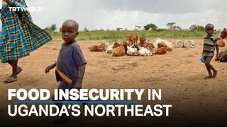 Hunger grips Uganda's northeast