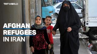 Iran conducts Afghan refugee census