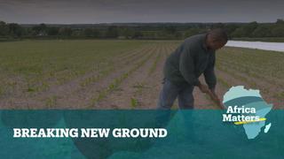 Africa Matters: Zimbabwean farmer breaks new ground in UK