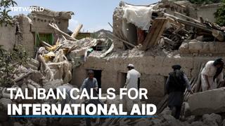 Taliban appeal for international aid as quake death toll rises