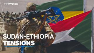 UN urges calm in Ethiopia-Sudan border dispute