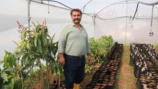 Avocado production surges in Türkiye's southern coast