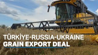 Ukrainian farmers hopeful after Black Sea deal