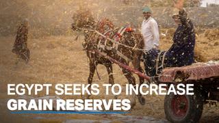 Egyptian government steps up efforts to increase reserves, supports farmers