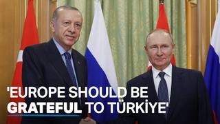 Europe should be grateful to Türkiye for natural gas flow via TurkStream - Putin