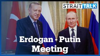 Erdogan, Putin Discuss Ukraine Grain Shipments, Syria During Meeting In Sochi