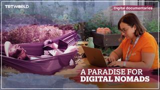 A Paradise for Digital Nomads