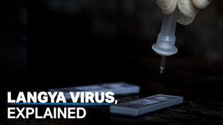 What is the newly identified Langya virus?