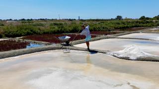 Salt production skyrockets in France through hottest summer