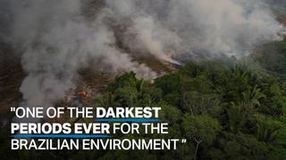 Record number of fires are devastating the Amazon