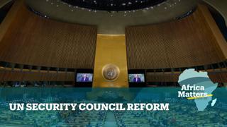 Africa Matters: UN Security Council Reform