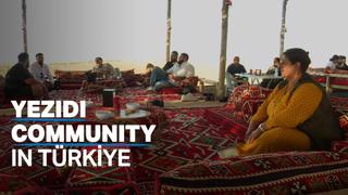 Yezidis return to Türkiye's Mardin province