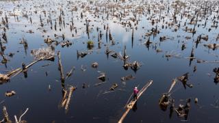 Deluge threatens to worsen food insecurity in Nigeria