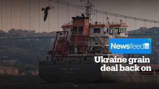 Ukraine grain deal back on