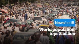 World population tops 8 billion