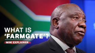 Explainer: What is ‘Farmgate’?