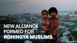 What is the Arakan Rohingya National Alliance and how will it help Rohingya Muslims?