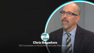 UN Committee on World Food Security Former Secretary, Chris Hegadorn