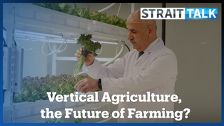 Can Vertical Farming Help Secure Türkiye's Food Supplies?