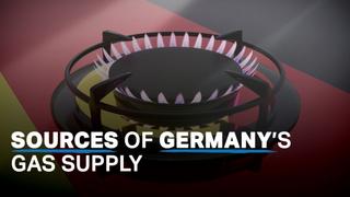 Where does Germany procure natural gas?