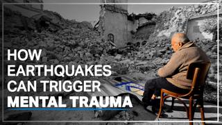 Türkiye begins healing after devastating quakes