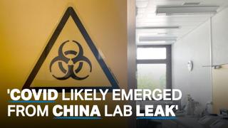 US agency says Covid-19 likely leaked from China lab: WSJ report