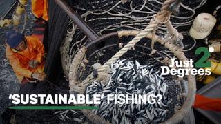 Just 2 Degrees: Destructive Fishing, Is veganism a fad? Türkiye’s water campaign