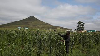 The Land Expropriation debate in South Africa gets heated | Crossing The Line
