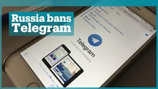 Russia bans encrypted messaging app Telegram