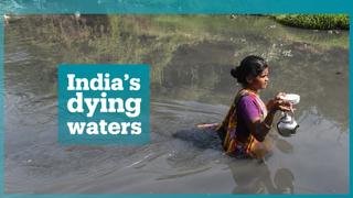 India's polluted waters kill thousands