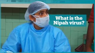 What is the Nipah virus?