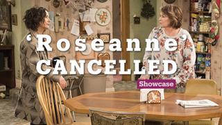 Hit show 'Roseanne' cancelled after racist tweet | Television | Showcase