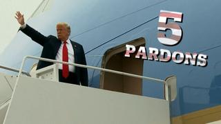 Trump’s Pardons: The Behaviour of a Monarch?