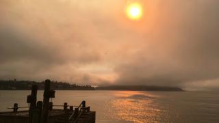 California Wildfire: Huge blazes force many to evacuate homes