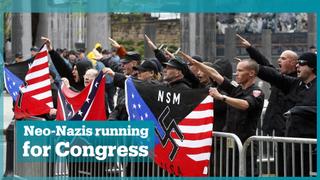 White nationalists and neo-Nazi sympathisers running for office