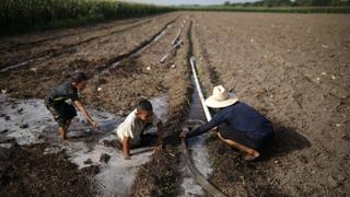 El Salvador Drought: Severe drought threatening livelihoods
