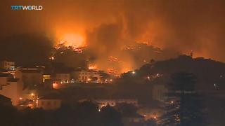 Europe Wildfires: Portugal battles fires as heatwave continues