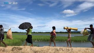 Rohingya Refugee Crisis: Trauma of fleeing Myanmar remembered a year on