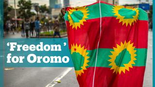 Ethiopia welcomes Oromo Liberation Front (OLF) back home