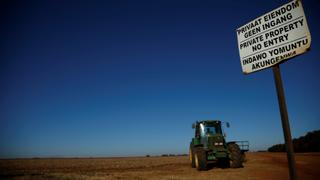 Land reform: Promise or peril in South Africa?